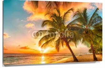 Lienzo Atardecer playa palmeras